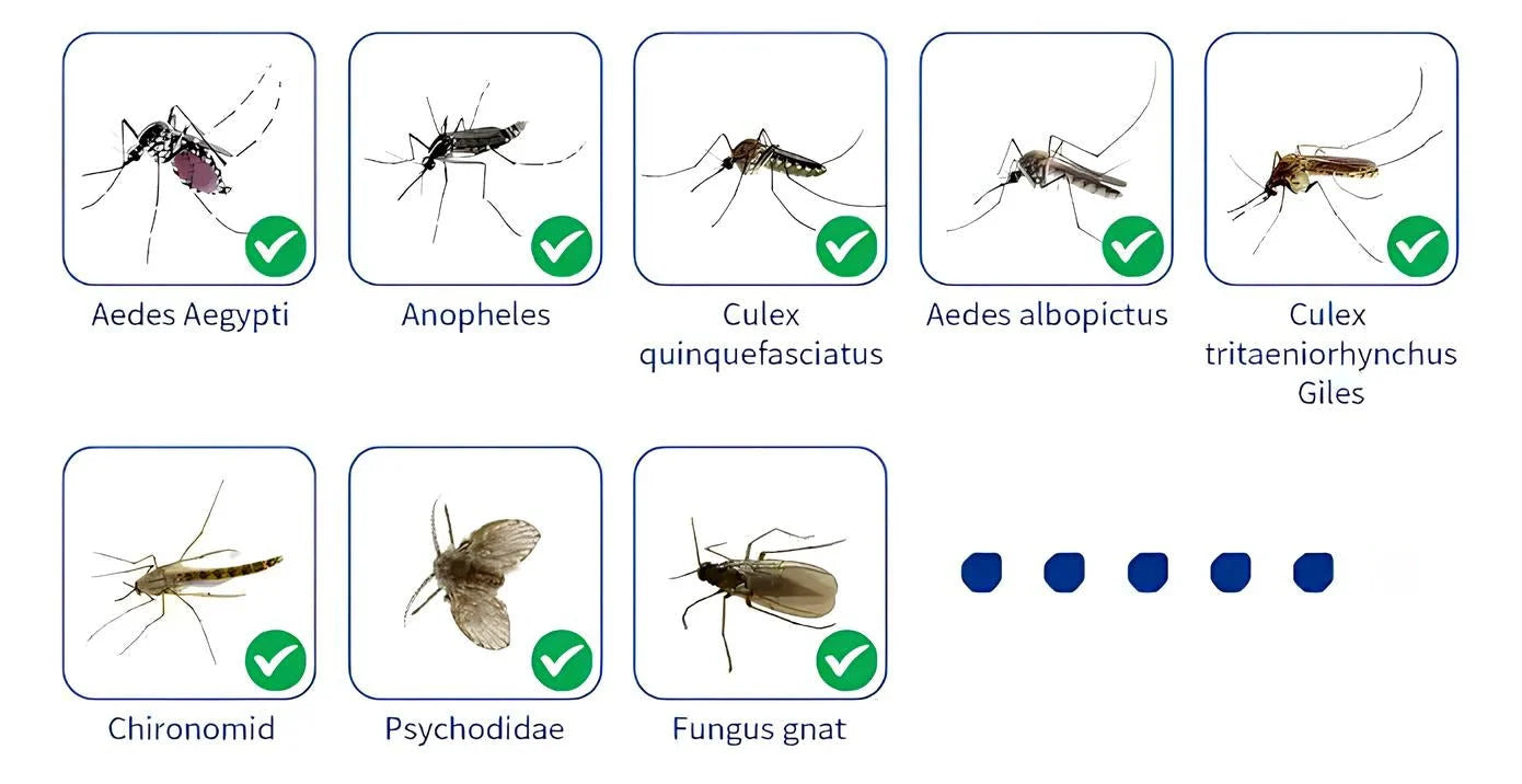 ZapForce One® – Votre défense contre les moustiques et les insectes volants