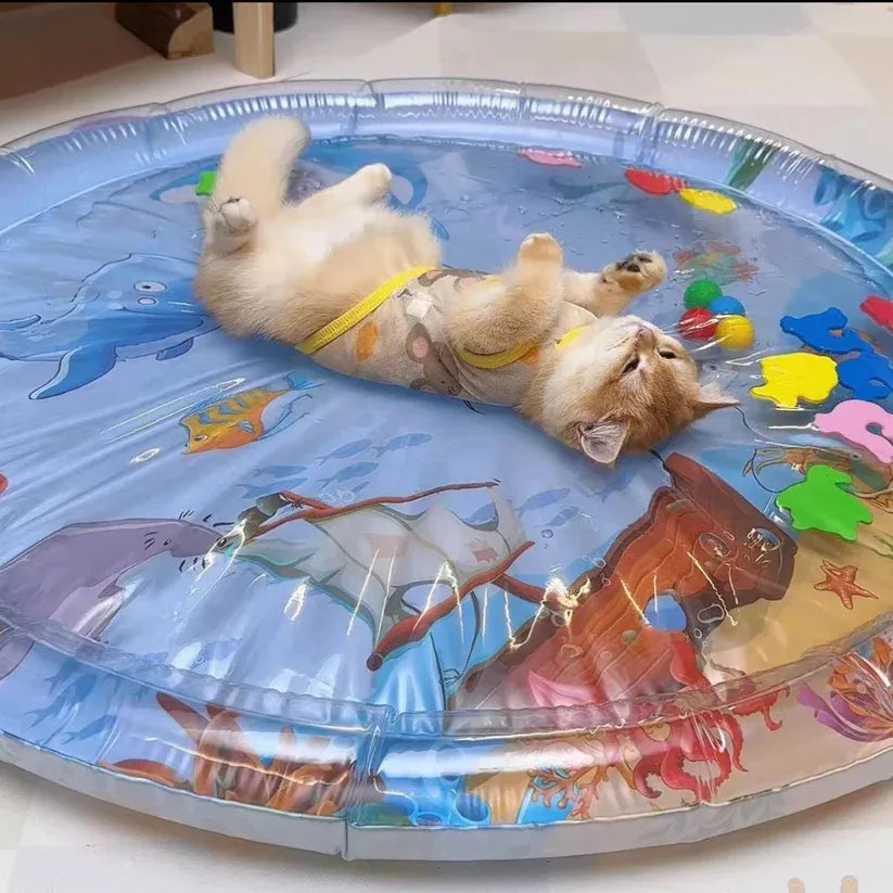 MiaouSplash® - Tapis d’eau interactif pour Chat