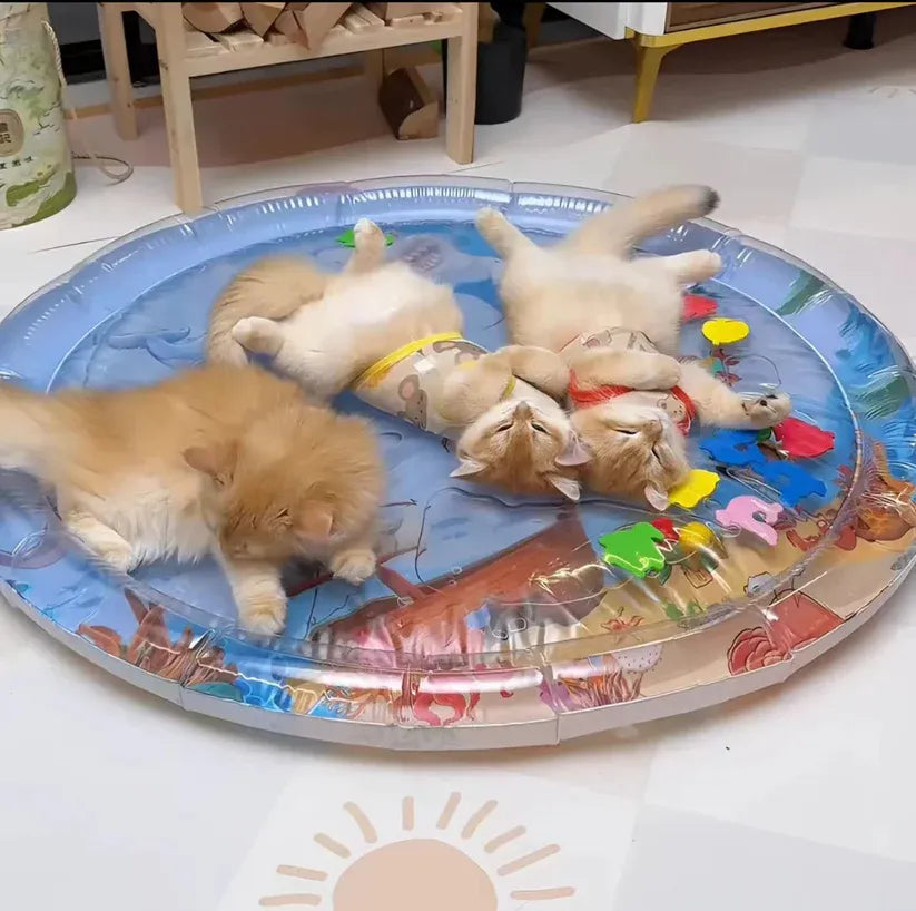 MiaouSplash® - Tapis d’eau interactif pour Chat